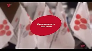 Краткий обзор пятилетнего стратегического плана OIV