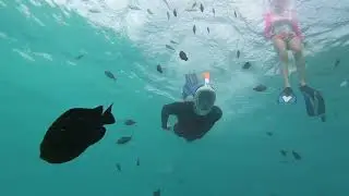 Zanzibar 2018 -  Mnemba Atoll