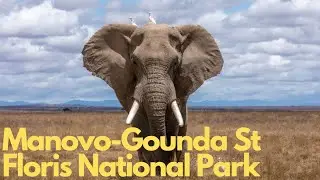 Exploring Manovo-Gounda St Floris National Park: A Hidden Gem in Central Africa