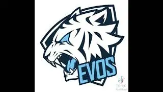 EVOSvsAURA