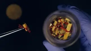 Messages in a Bottle ( ASMR )