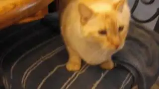 DSCF1340