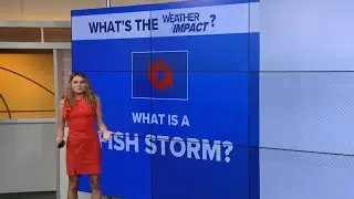 WATCH: What is a 'fish storm?'