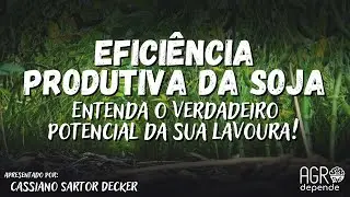 Eficiência Produtiva da Soja: Entenda o verdadeiro potencial da sua lavoura!