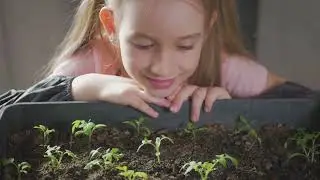 Nurturing Kindness and Empathy in Toddlers