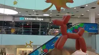 2 панорамных лифта KONE 2006 года ТЦ Ройял парк Красный проспект 101 Новосибирск