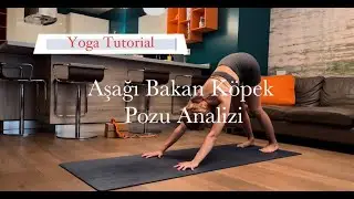 Yoga Pozları Analizi- Aşağı Bakan Köpek Pozunun Önemli Noktaları