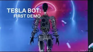 Tesla Bot 