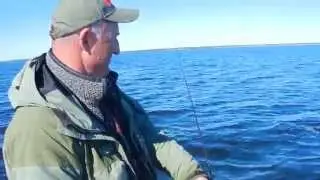 Ixa m&otilde;&otilde;du kala, Rapala