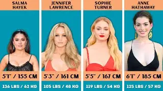 Height & Weight Comparison of Hollywood Actresses | World Data Comparison | Hollywood Data