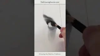 Realistic Eye Drawing Timelapse #shorts #eyedrawing #realisticdrawing #drawing #drawingprocess