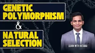 Genetic Polymorphism and Natural Selection Explained by Nataraj sir