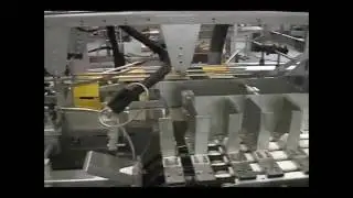 Automatic indexing cartoners for pouch bags