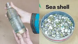 Diy Old perfume Bottle craft idea using with sea-shell #viravideo #seashell 
