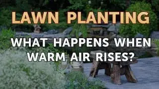 What Happens When Warm Air Rises?