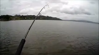 NEW ZEALAND TROUT FISHING SOME KIND OF A THING 15