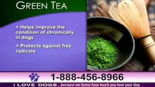 i Love Dogs - Pet Supplements (Green Tea)