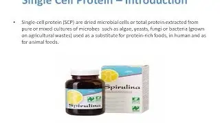 Single Cell Protein SCP   Process, Application and Benefits