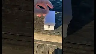 Soap for catfish bait #904fishing #saltwaterfishing #shorts #fishing #beachfishing #floridafishing