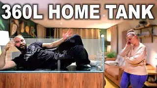 Building A Home Community Aquarium (EP1)
