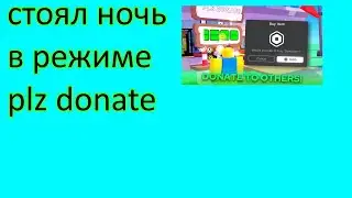 Стоял ночь в pls donate