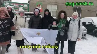 Итоги дня 20.12.2025