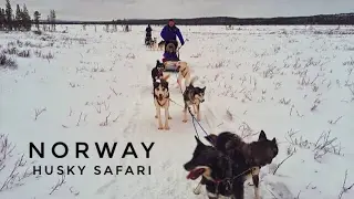 🇳🇴 Norway: amazing husky safari and aurora experience