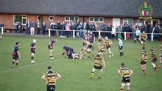 Hinckley RFC 1stXV v Hornets RFC 11/11/2023 highlights
