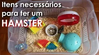 O que comprar antes de ter um hamster!