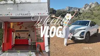 Grocery Haul | Atlantic Seaboard Drive | Assignments | Unframed Vegan Ice Cream | Breakfast Date