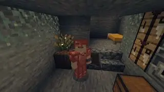 Episode 19 Minecraft Survival Series