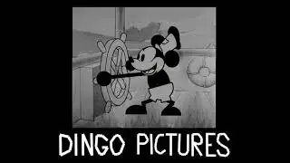 Dingo Pictures Introduction