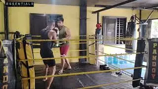 BOXER | BOXING MITTS | HOW TO BOX