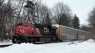 1/31/26 CN Train 271 🥶 with 🎺✌️