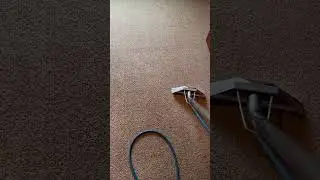 In need of Carpet Cleaning by Lake Geneva Carpet Cleaning😁 #carpetcleaning #shorts #lakegeneva