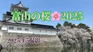 富山の桜🌸2025#松川べり#富山城#城址公園#富岩運河環水公園#SAKURA#CHERRY BLOSSOM#松川遊覧船