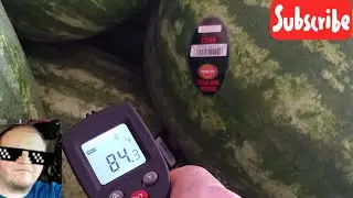 What happened to FL reefer rates? Is produce season over?🤔