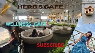 Kolkata's first Wellness Cafe||Herb's Cafe|| most unique cafe||Wetlands||Dine on Pool tables🍛🍜🍟🍔