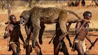 Supervivencia en &Aacute;frica: C&oacute;mo la Tribu Hadzabe Caza Babuinos