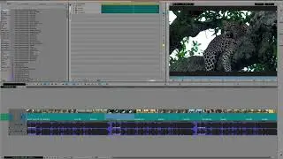 INTRO TO AVID EDITING 8 RIGHT BAR INTERFACE BUTTONS AND APPLYING COLOR