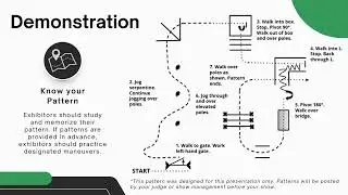 Introduction to In-Hand Trail Class