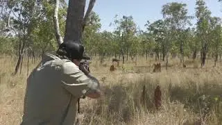 Buffalo Hunting Big Bore Rifles