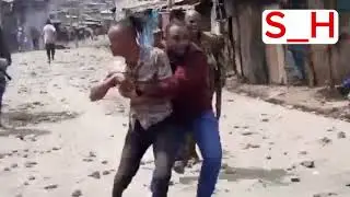 Maandamano Drama Nat Geo Wild