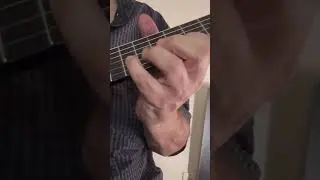 Summer Samba shred