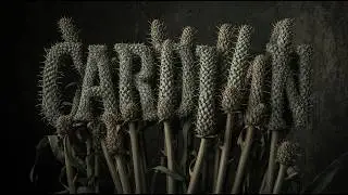 Cardoon &ndash; The Wild Ancestor of Artichoke