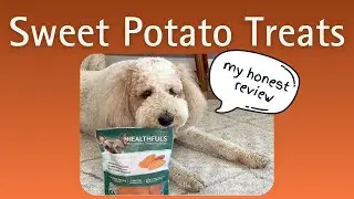 Sweet Potato Dog Treats Review | Grain Free, Healthy Snack for Dogs