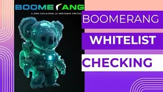 How to Check Boomerang Licence Whitelist Ceiling Limit on Blockchain