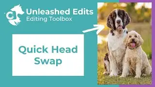 Dog Photography Editing Toolbox: Quick Head Swap