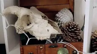 Making Of: Beth Robinson Studio Short