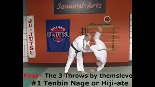 3 Combinations against counters to :Tenbin nage, Shihonage, Gyaku Seoi otoshi